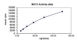Eurofins DiscoverX MST3 Protein, Active 250 &mu;g | Buy Online | Eurofins DiscoverX | Fisher Scientific